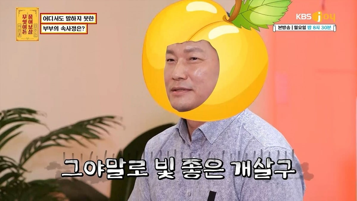KBS Joy 제공