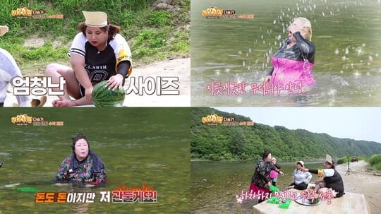 사진=채널S, KBS Joy 제공