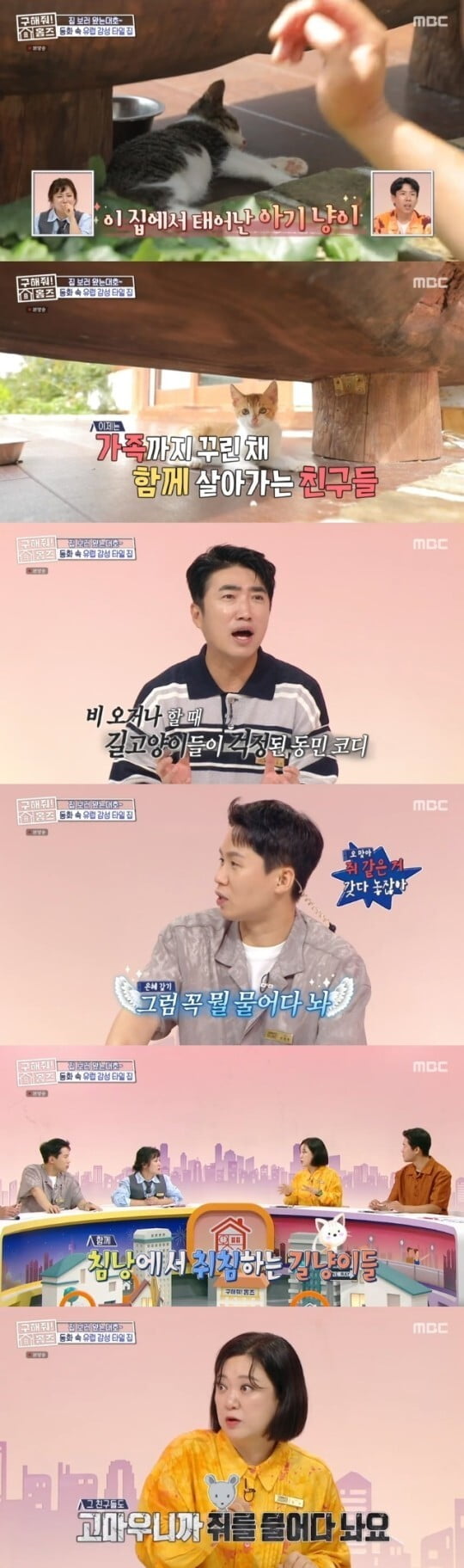 김숙 "캠핑장 고양이들, 은혜갚는다고 쥐 물어다 놔" ('홈즈')