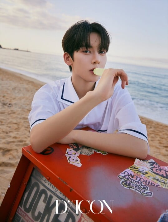 사진=디아이콘 제공
