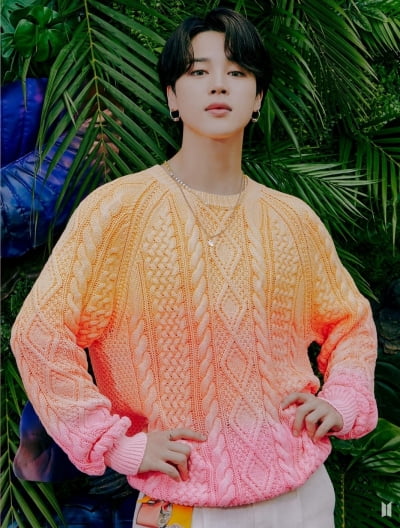 BTS Jimin, big data positivity rate 95%