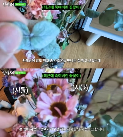Kian84, dead flower arrangement update 'shock'