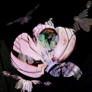 Singer-songwriter sooSoo releases 'BUGSLIFE'