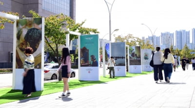 [TEN포토] 28회 부산국제영화제 드디어 개막