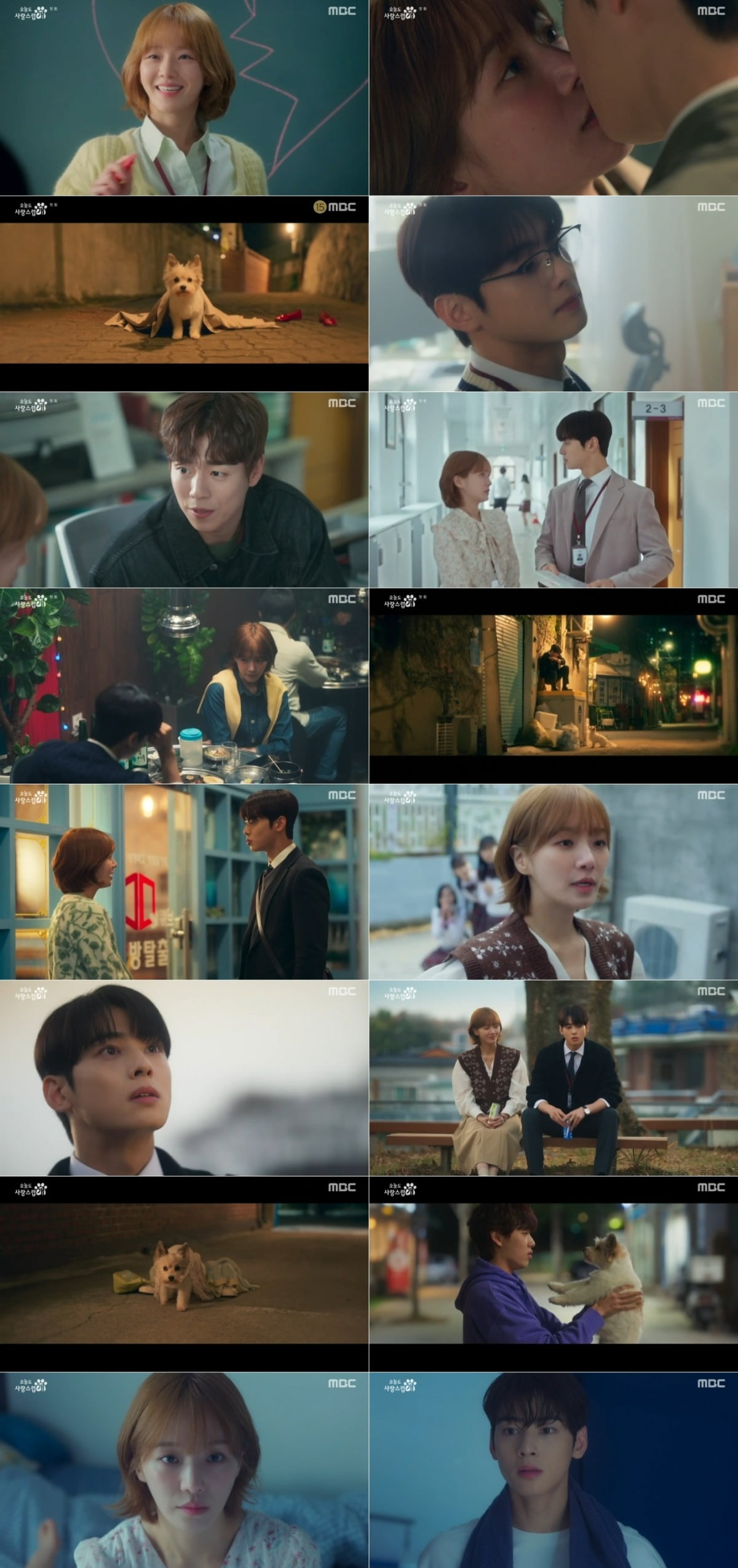 '사랑스럽개' /사진제공=MBC