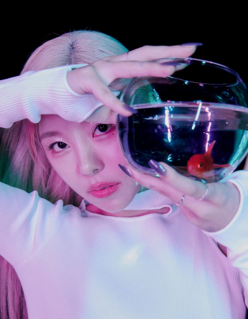 / 사진제공=더라이브