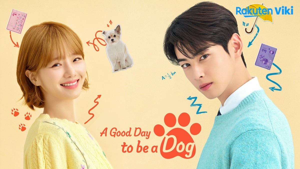./라쿠텐 비키(Rakuten Viki)