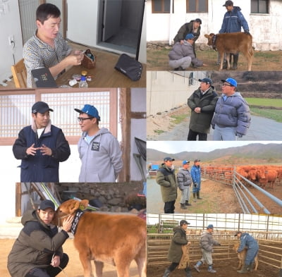 Joo Sang-wook, even if he wins the acting award, he's still too scared of 'cow'