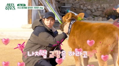 Joo Sang-wook, 'absurd' chicken escaping from a chicken coop blown away by strong winds
