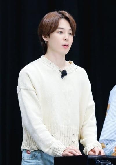 BTS Jimin wins the 'BTS Genius Award'