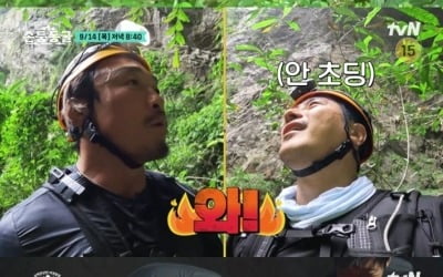 Ahn Jung-hwan, Park Hang-seo and stop loss? “Let's not see each other anymore.”