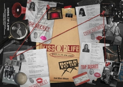 KISS OF LIFE, hidden hints in the case file