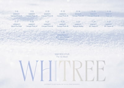 남우현, 11월 28일 컴백 확정…Whitree=남우현+인스피릿+나무