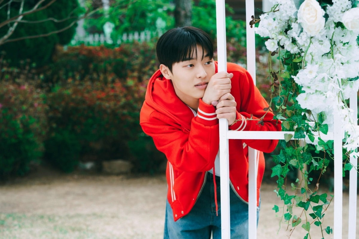 사진=tvN