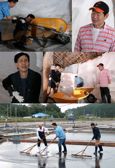 "이연복 형, 그만 괴롭혔으면…놔주길 바라" 친동생에 폭로 당해('사당귀')