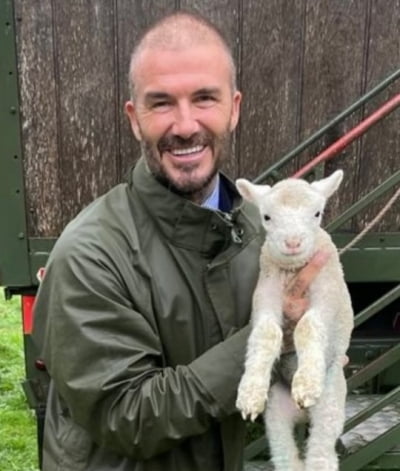 David Beckham, recent news about ‘shock hair loss’… Shaved hairstyle with open scalp