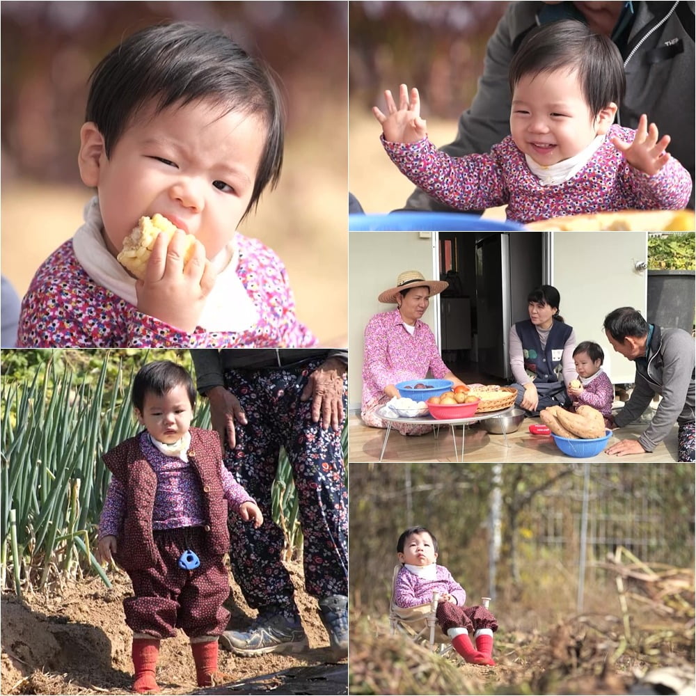 '슈돌' /사진제공=KBS