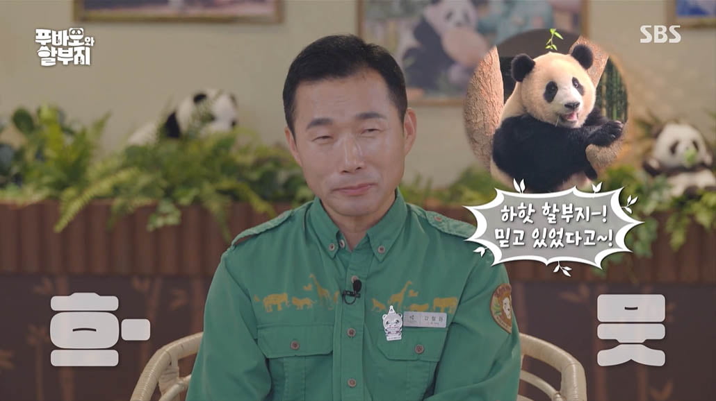 [종합] 강철원 사육사 "최애는 푸바오…영원한 나의 아기 판다"('푸바오와 할부지')