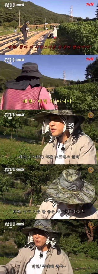 사진=tvN ‘콩 심은 데 콩 나고 팥 심은 데 팥 난다’ 방송 화면 캡쳐