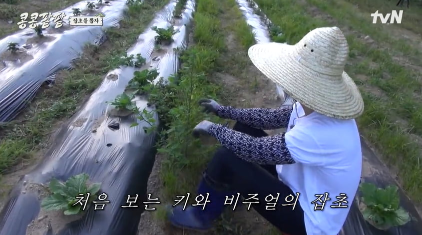 사진=tvN 예능프로그램 '콩 심은 데 콩 나고 팥 심은 데 팥 난다' 방송 캡처본.