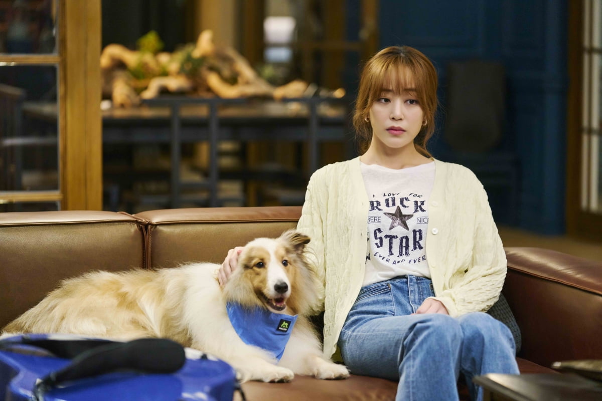 김효진 /사진제공=tvN