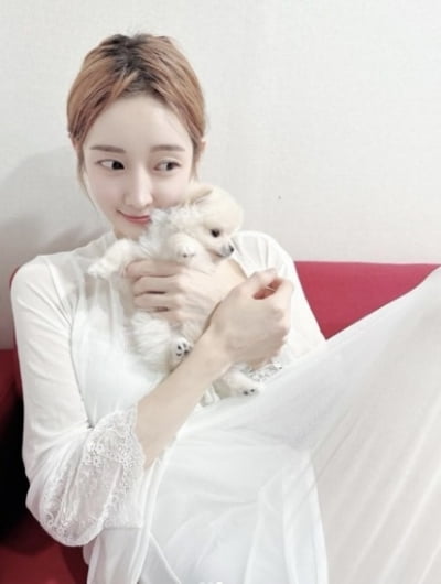 아름, '제2의 전청조 악플' 예비 재혼남에 “평생 사랑해”[TEN이슈]