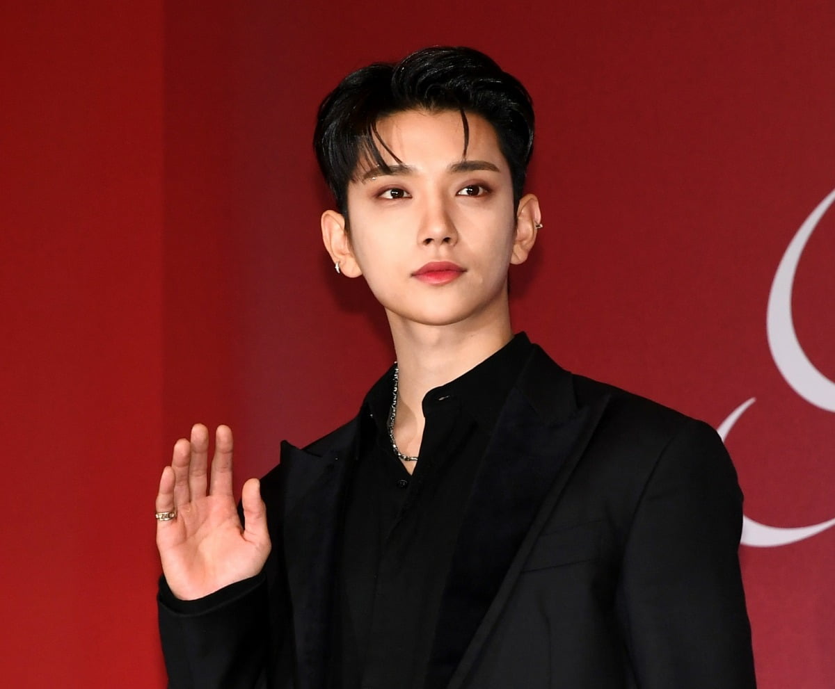 「トラックにポルシェ」まで大同したセブンティーンジョシュアファンダム、忘れてしまった本質