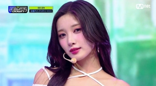 「カムバック」パープルキス、ステージ上の紫色の祭り