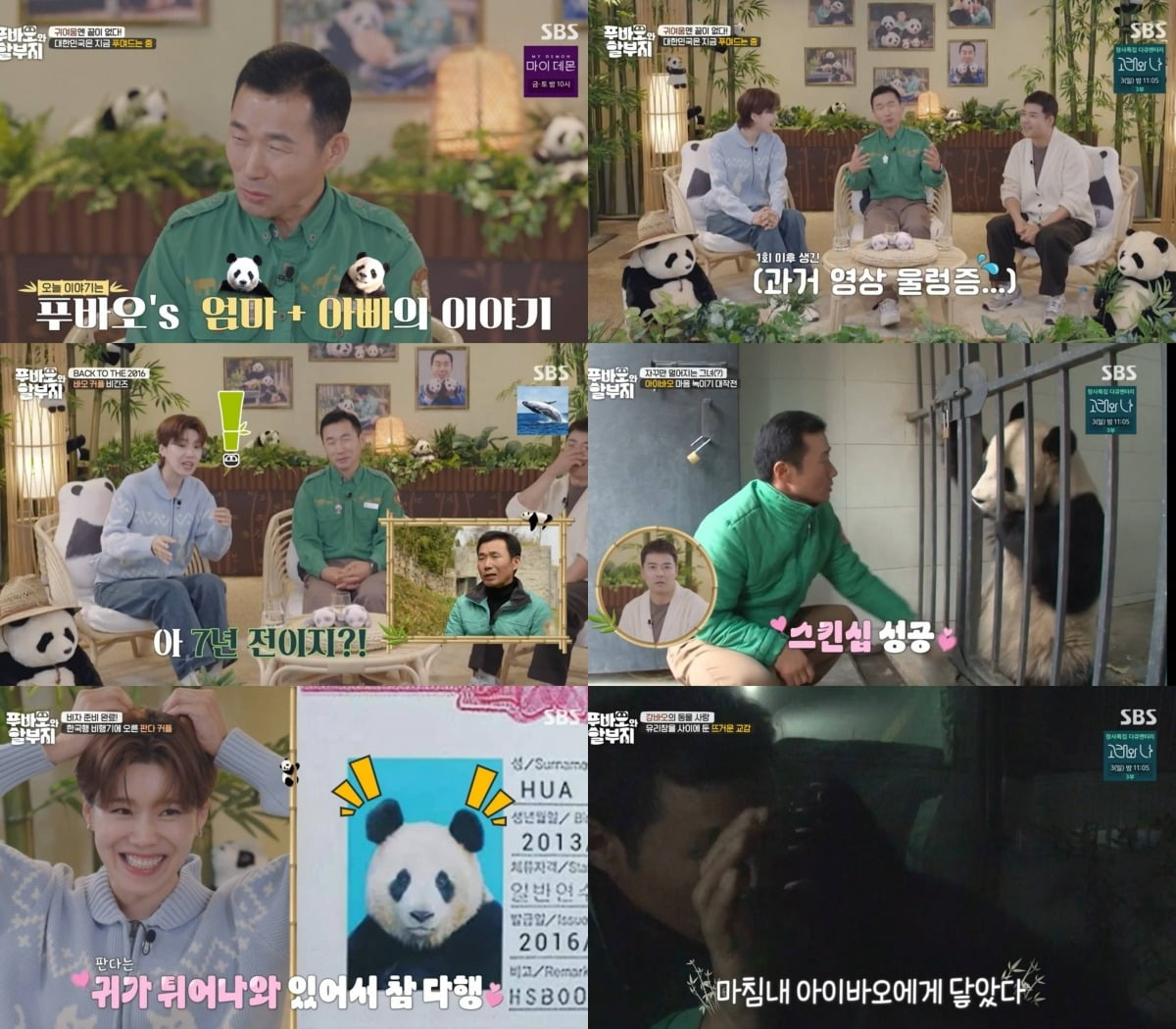 사진=SBS '푸바오와 할부지' 캡처