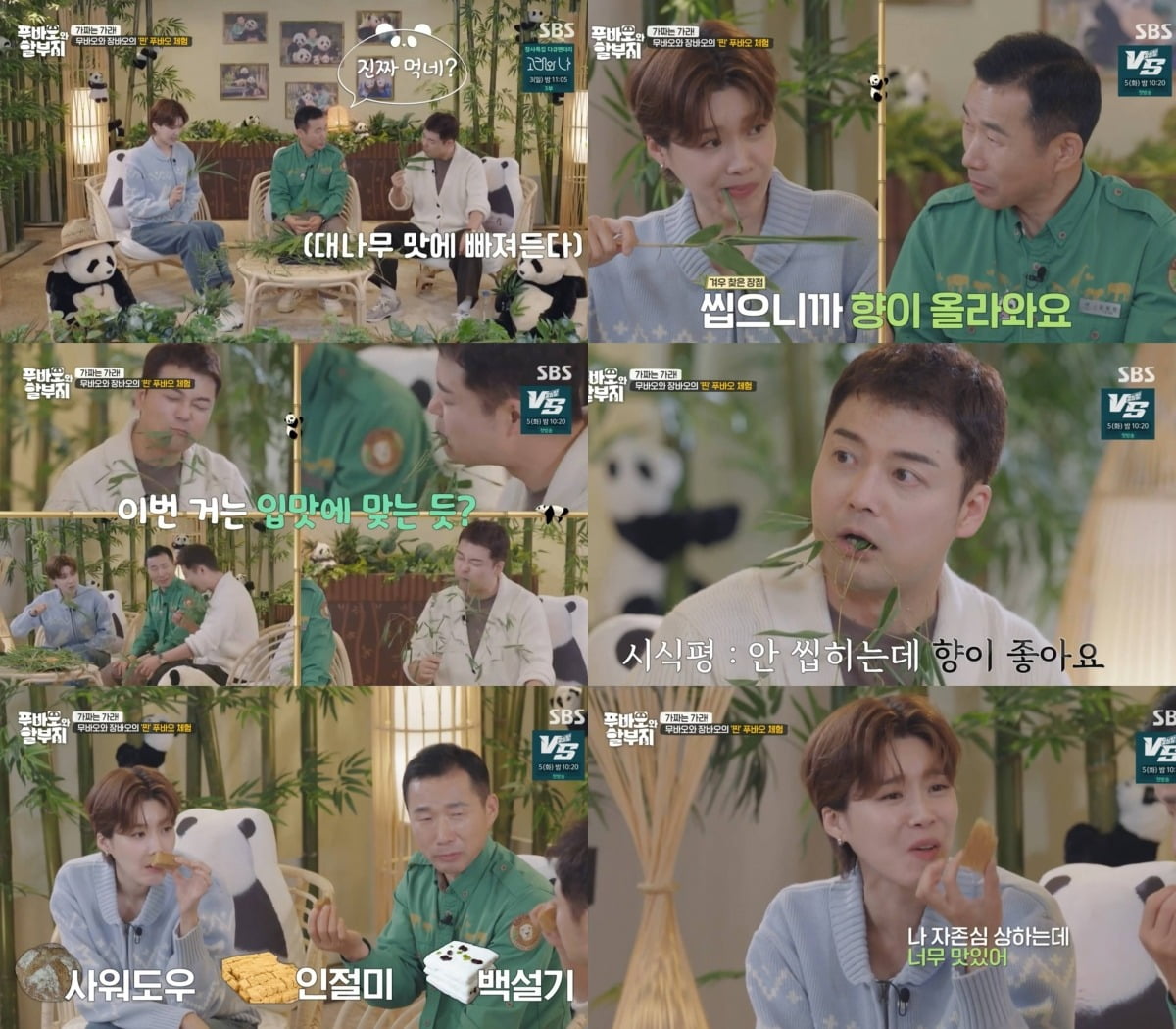 사진=SBS '푸바오와 할부지' 캡처