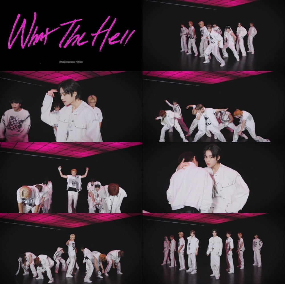 다크비, 신곡 'What The Hell' 퍼포먼스 비디오 공개…'강렬+파워풀' 완벽 칼군무