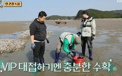 [종합] '안다행' 종영, 박수 칠 때 떠났다…안정환·붐, 뭉클한 마지막 내손내잡 '최고 6.9%'