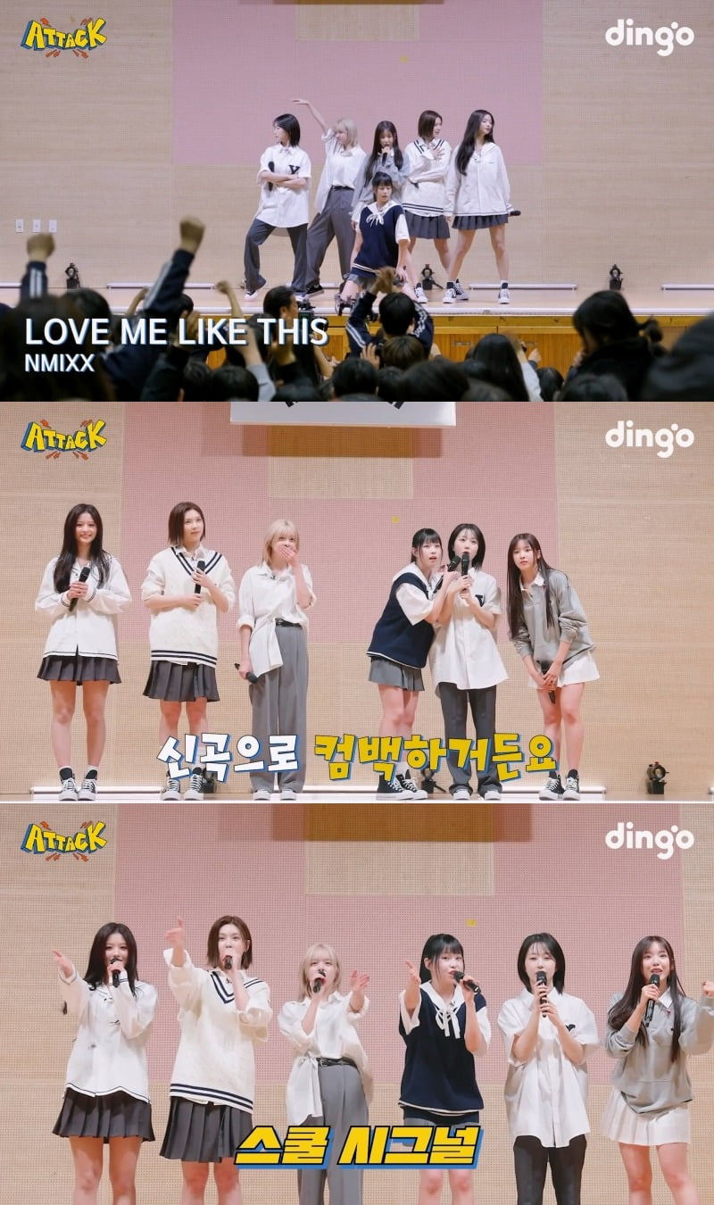 사진제공=딩고