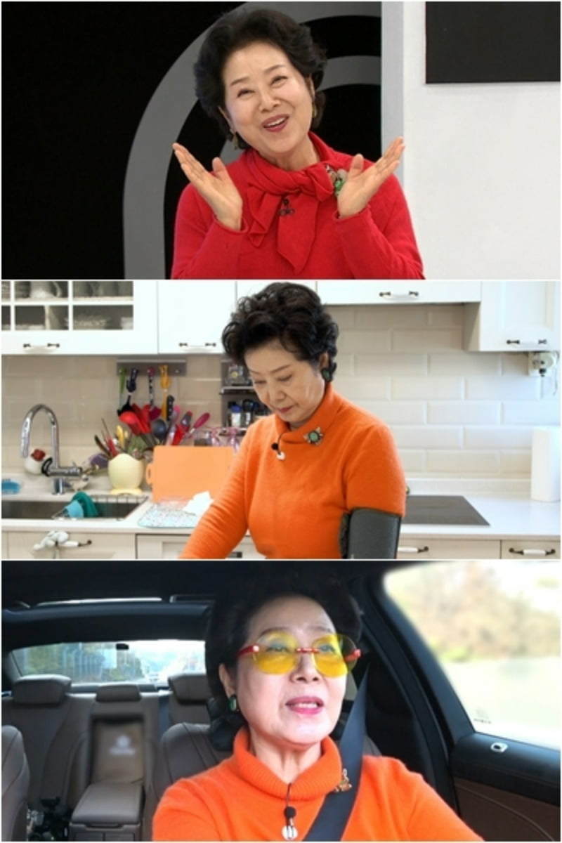 사진제공=TV조선 '퍼펙트라이프'