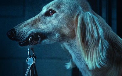 Director Luc Besson's new film 'Dogman' will be released in Korea on January 24, 2024.