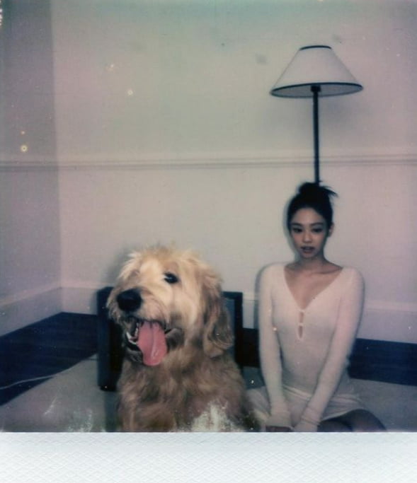 /사진 = 제니 인스타그램