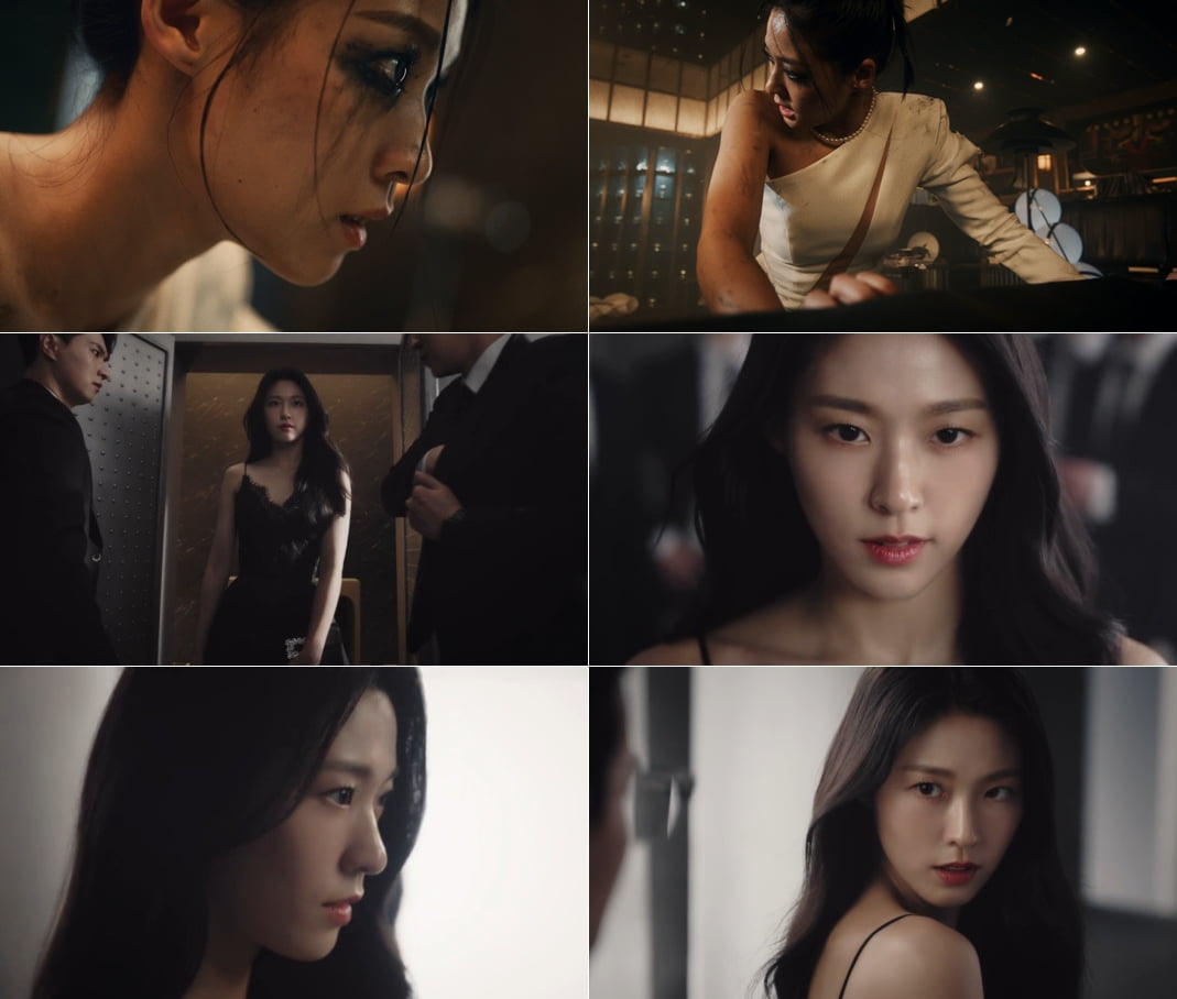 /사진제공=폴라