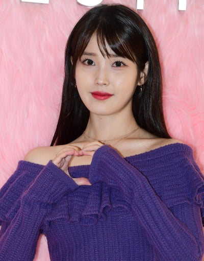 IU、悪質コメントの当事者を見つけた「損害賠償請求訴訟提起」