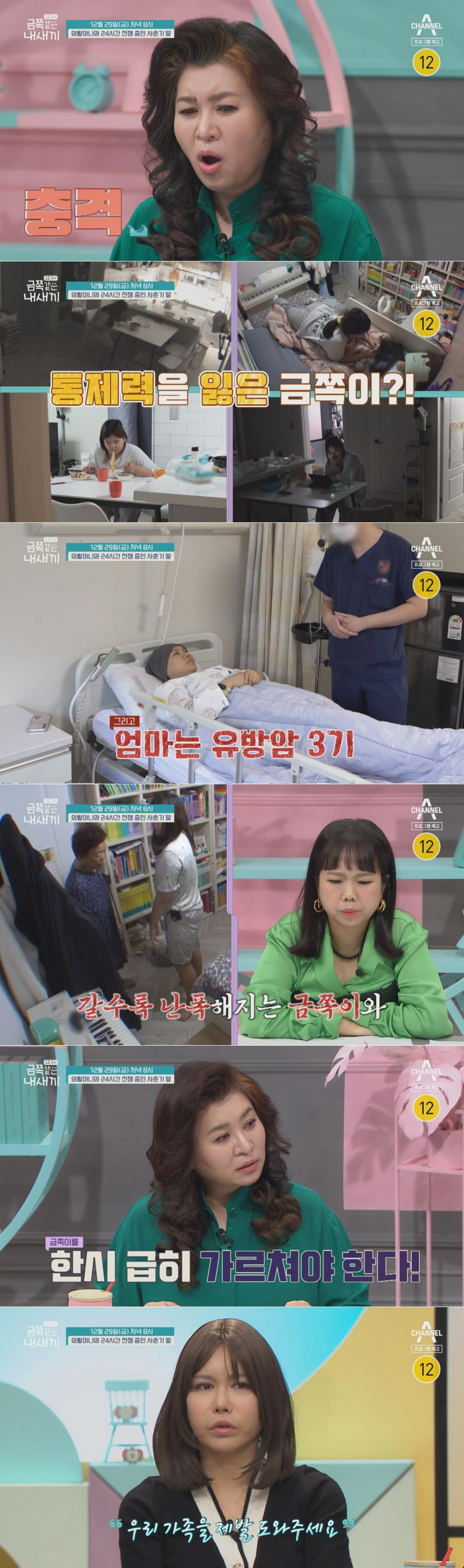 사진제공=채널A '요즘 육아 - 금쪽같은 내새끼'
