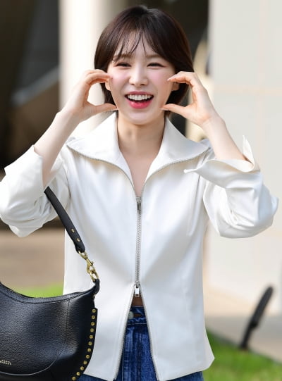 レッドベルベットウェンディ・アイリン、夏フェスティバルに一緒に行きたい女歌手1位