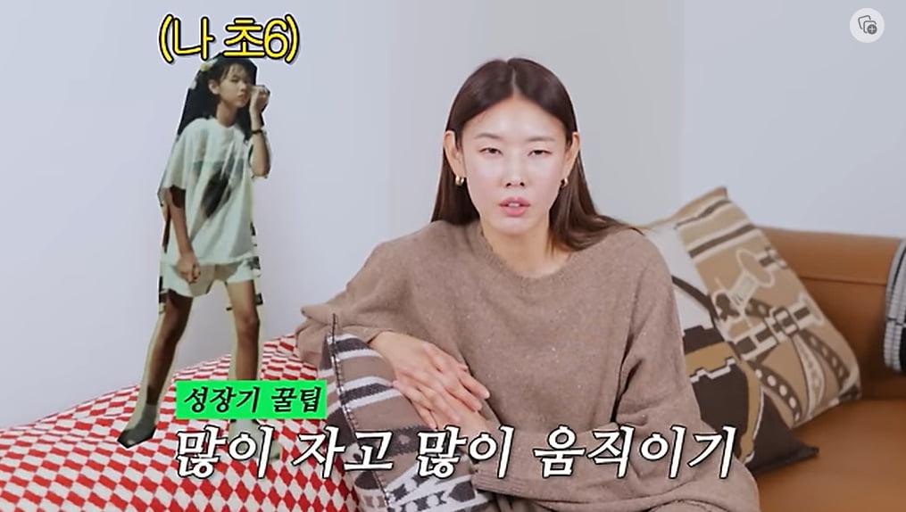 /사진 = 한혜진 유튜브