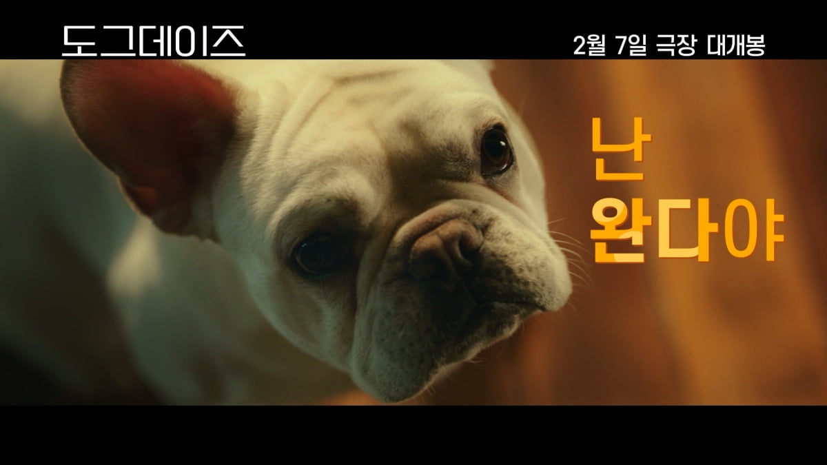 이현우, '여친의 전 남친' 다니엘 헤니과 '개싸움'('도그데이즈')