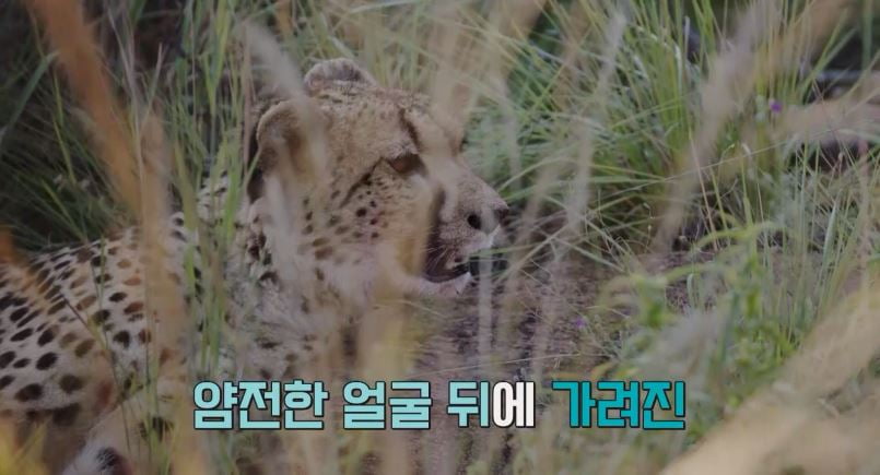 [종합] 이혜원 "장미 3650송이 주겠다던 ♥안정환, 지금은 '앵그리 안 이모님'"('선 넘은 패밀리')