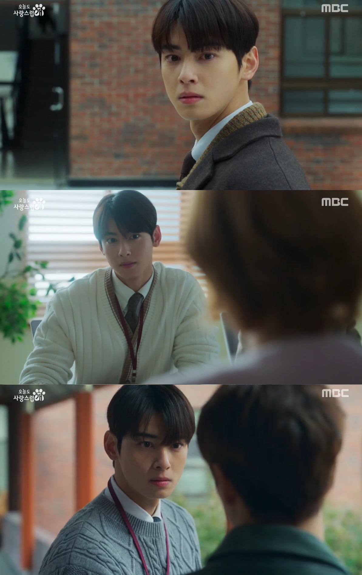 [사진 제공 = 판타지오, MBC '오늘도 사랑스럽개']