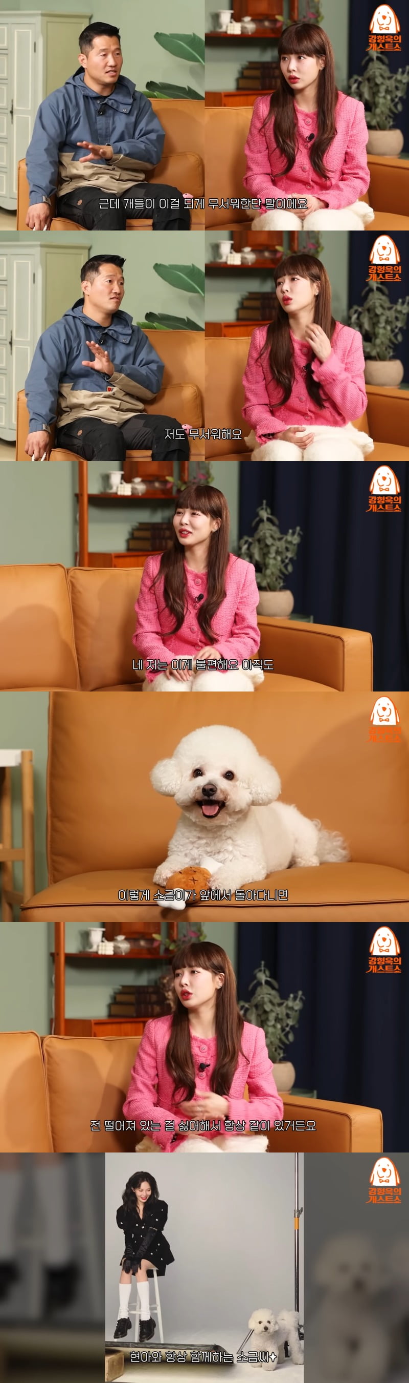 사진 = 유튜브 채널 '강형욱의 보듬 TV' 영상 화면 캡쳐