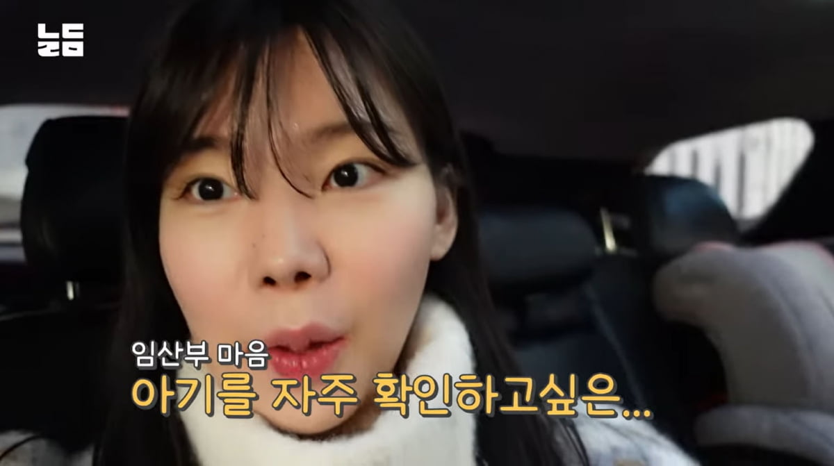 이다은 "둘째 임신, 20kg 찔듯…♥윤남기, 아이스박스째로 아이스크림 대령"('남다리맥')[종합]