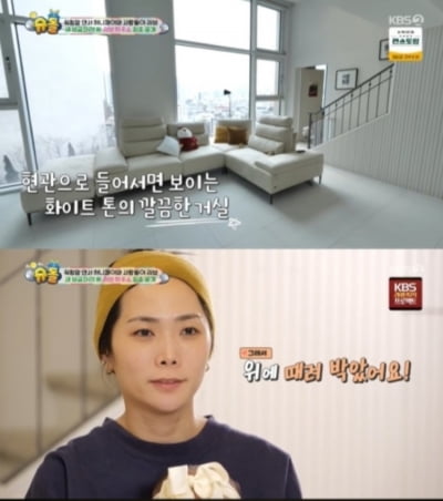 [종합] 허니제이, 5억원대 집 떠났다…펜트하우스같은 한강뷰 럭셔리 새집('슈돌')