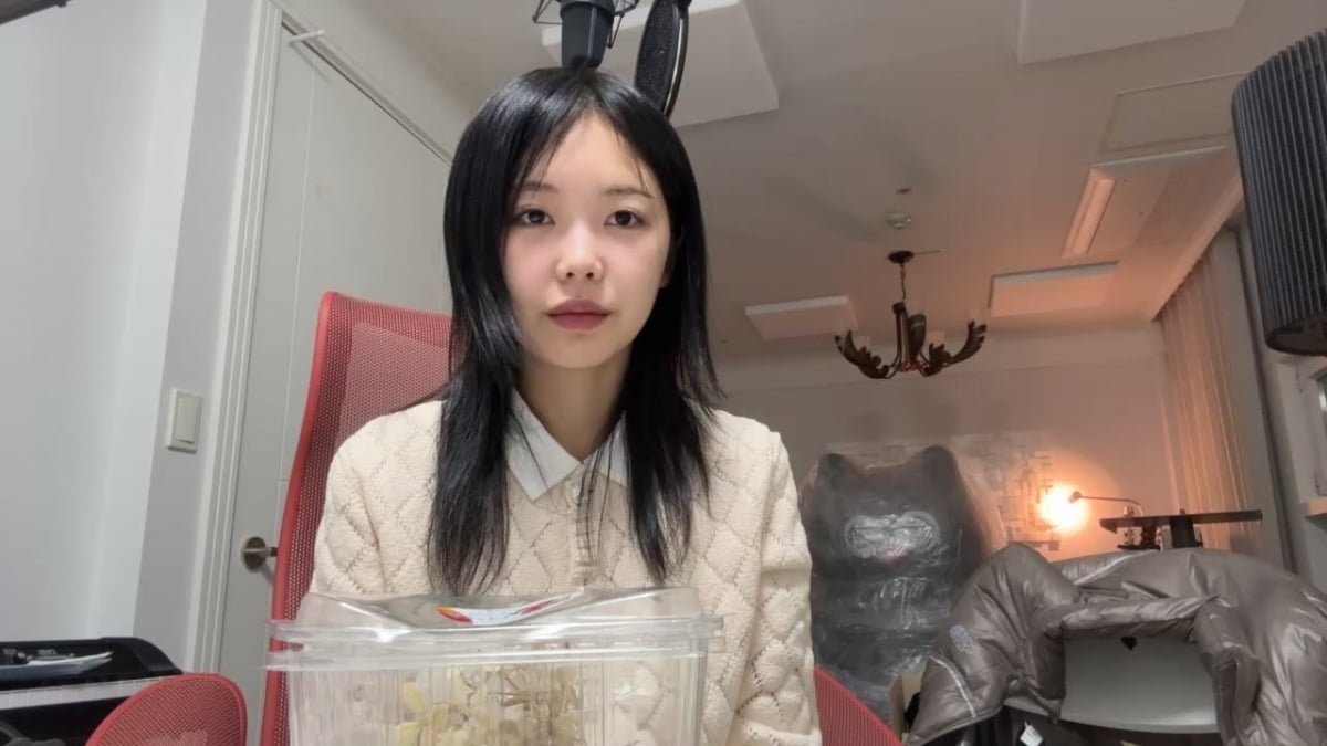 "죄 저질러 버린 상태" 미노이, 의미심장 글→"이불킥 감" 돌연 삭제[TEN이슈]
