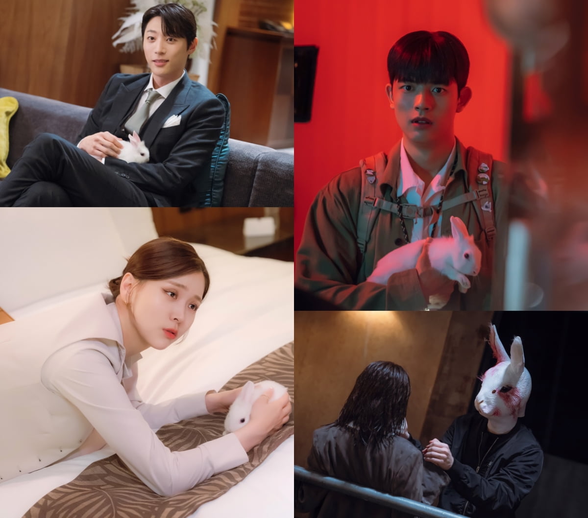 (사진제공= STUDIO X+U)