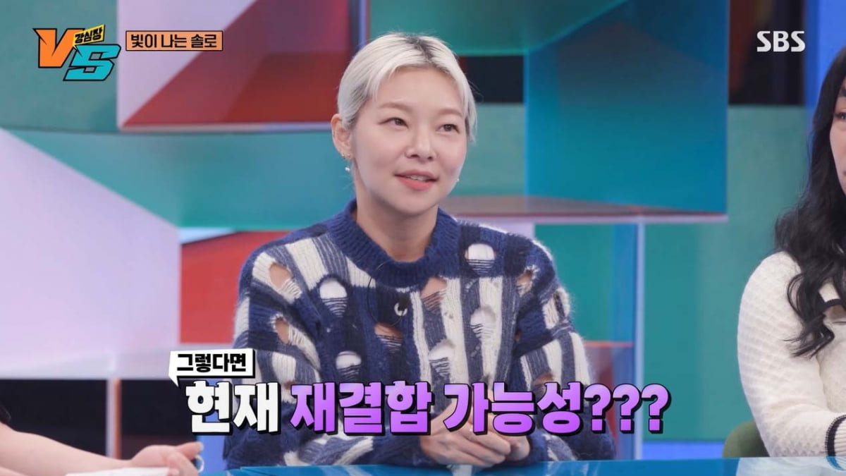 [종합] 송해나, 곧 마흔 "냉동난자 고민…강남에 내집마련, 다음 목표는 아파트"('강심장VS')